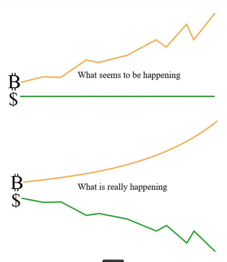 usd-volatility